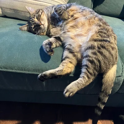 Xena